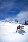 skiboard3