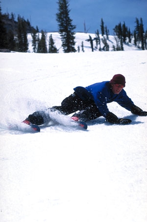 skiboard4