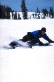 skiboard4