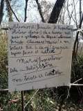 Cartelo cani