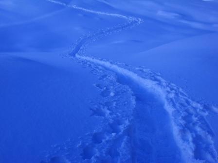 neve2