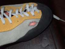scarpetta 1