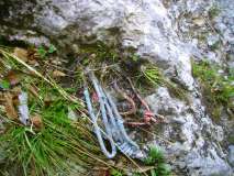 sosta