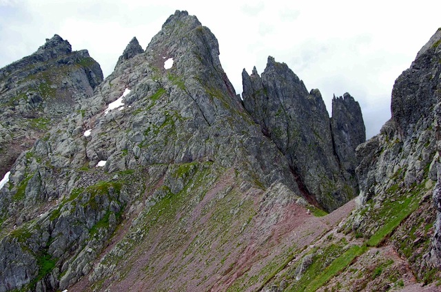 translagorai