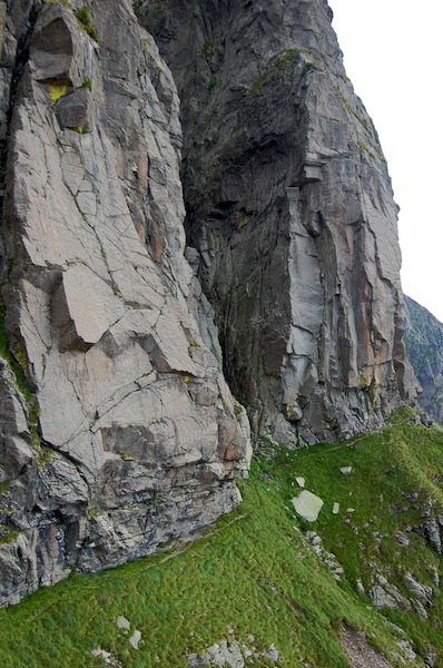 translagorai